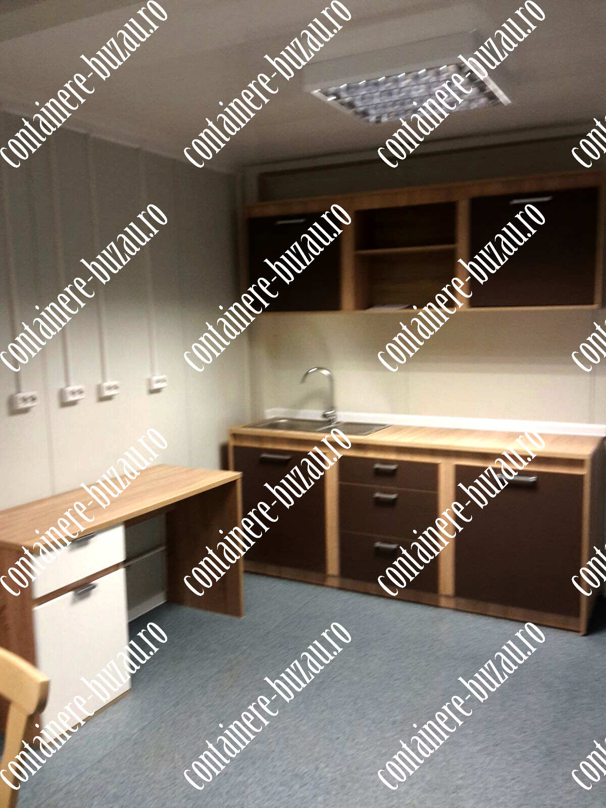 containere de vanzare Buzau